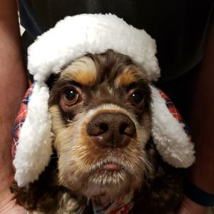 Meet your Posher, Linda